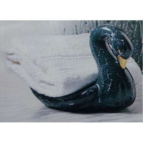 ΑΞΕΣΟΥΑΡ ΜΠΑΝΙΟΥ